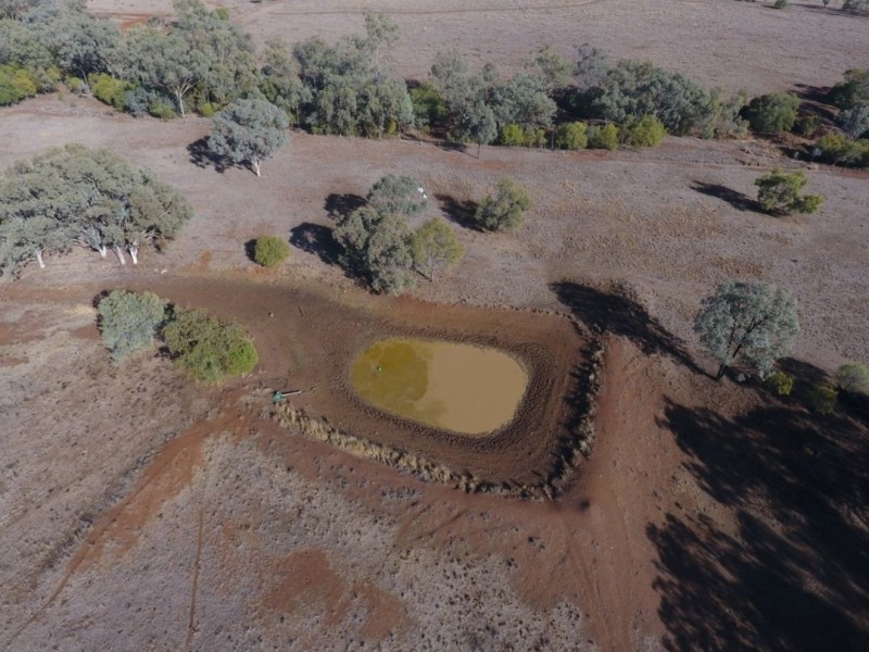 Wadgie Farm, Warialda NSW 2402