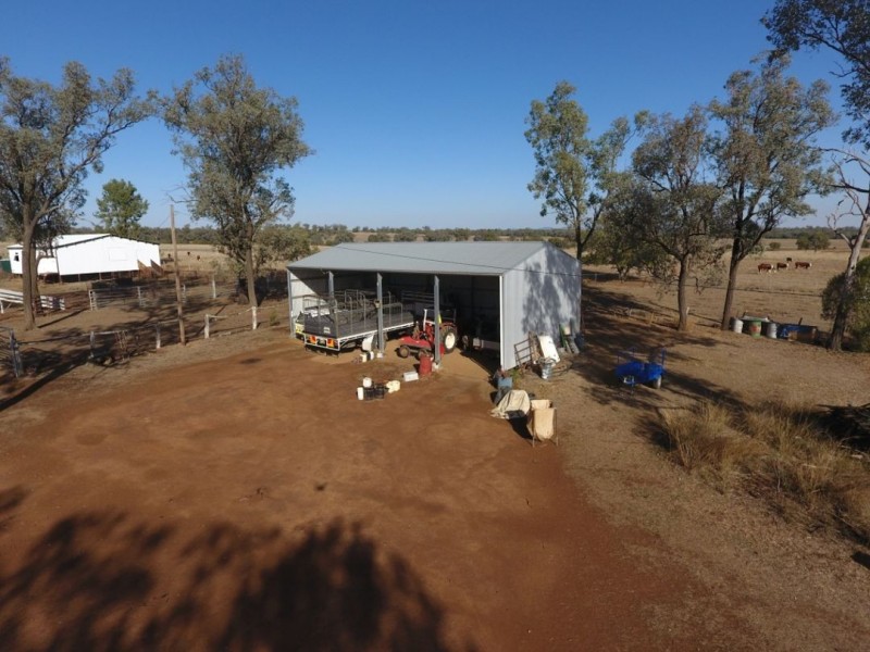 Wadgie Farm, Warialda NSW 2402