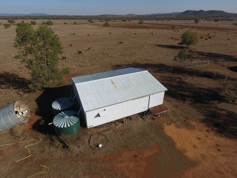 Wadgie Farm, Warialda NSW 2402