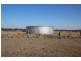 Wadgie Farm, Warialda NSW 2402