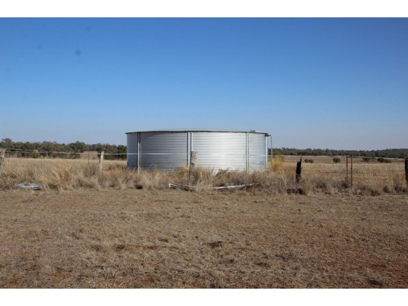 Wadgie Farm, Warialda NSW 2402