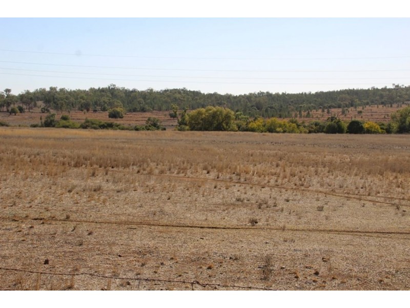 Wadgie Farm, Warialda NSW 2402
