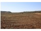 Wadgie Farm, Warialda NSW 2402