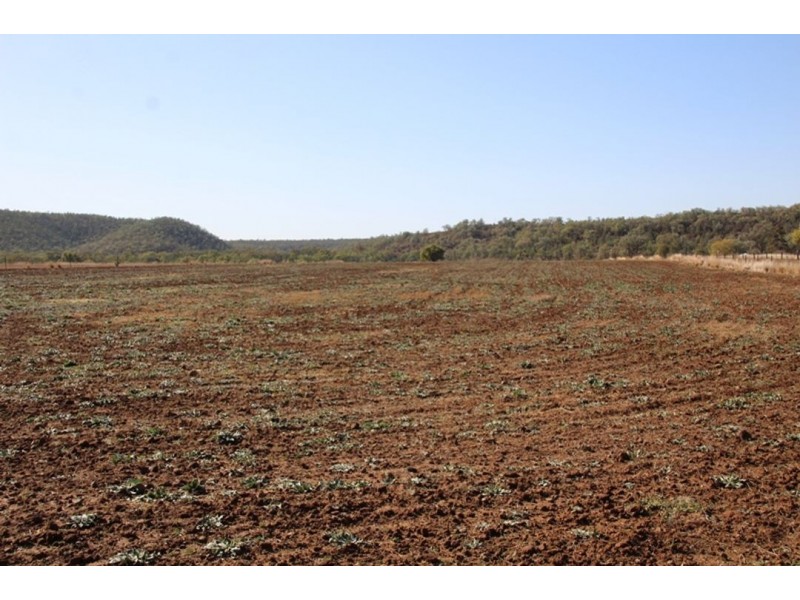Wadgie Farm, Warialda NSW 2402