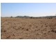 Wadgie Farm, Warialda NSW 2402
