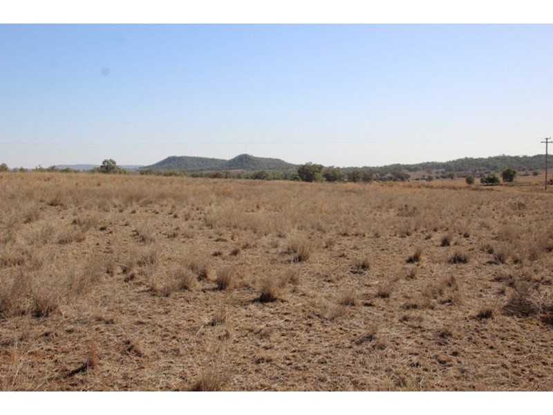 Wadgie Farm, Warialda NSW 2402