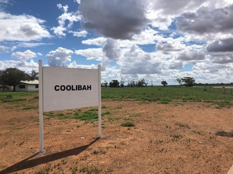 Coolibah South, Mungindi NSW 2406