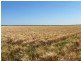Coolibah South, Mungindi NSW 2406