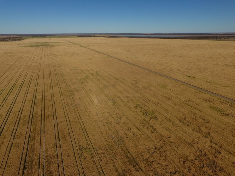 Coolibah South, Mungindi NSW 2406