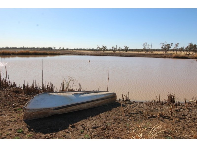 Coolibah South, Mungindi NSW 2406