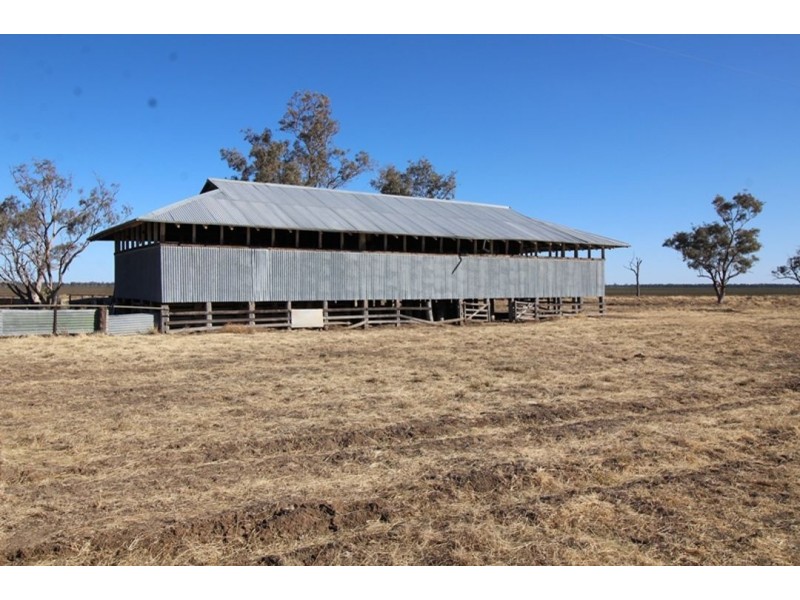 Coolibah South, Mungindi NSW 2406
