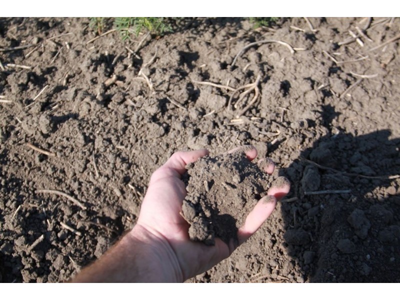 Coolibah South, Mungindi NSW 2406