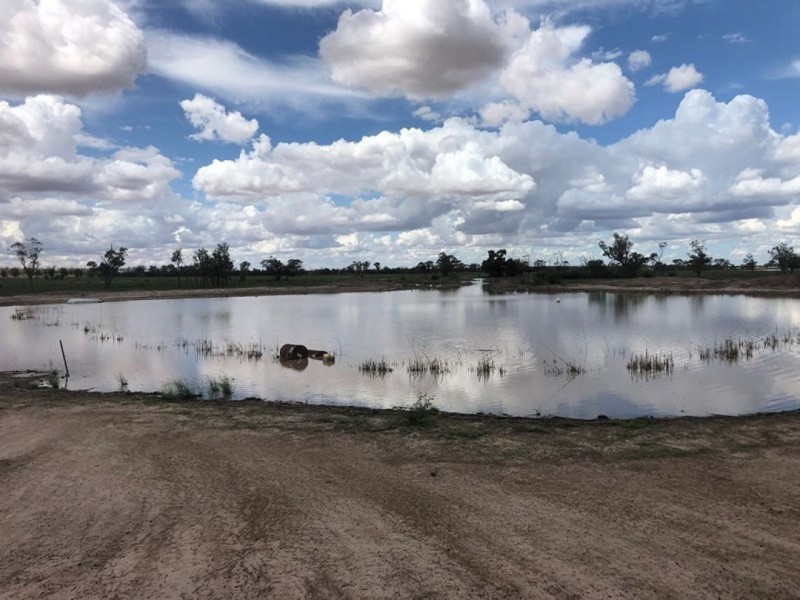 Coolibah South, Mungindi NSW 2406