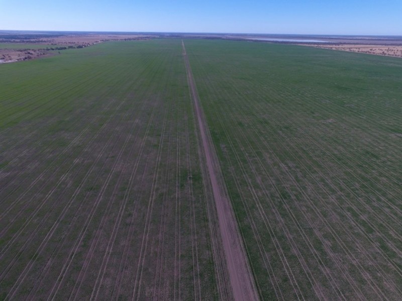 Coolibah South, Mungindi NSW 2406