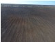 Benambra, Wee Waa NSW 2388