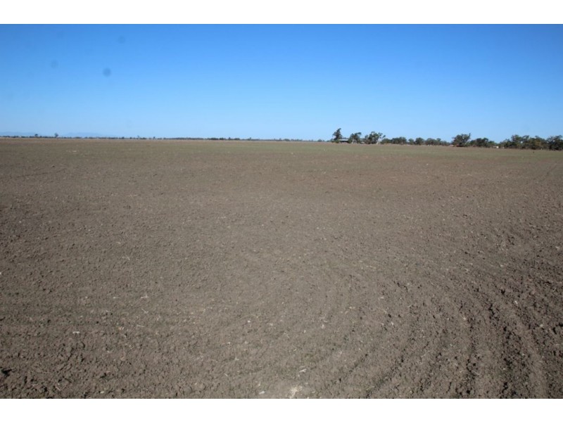 Benambra, Wee Waa NSW 2388
