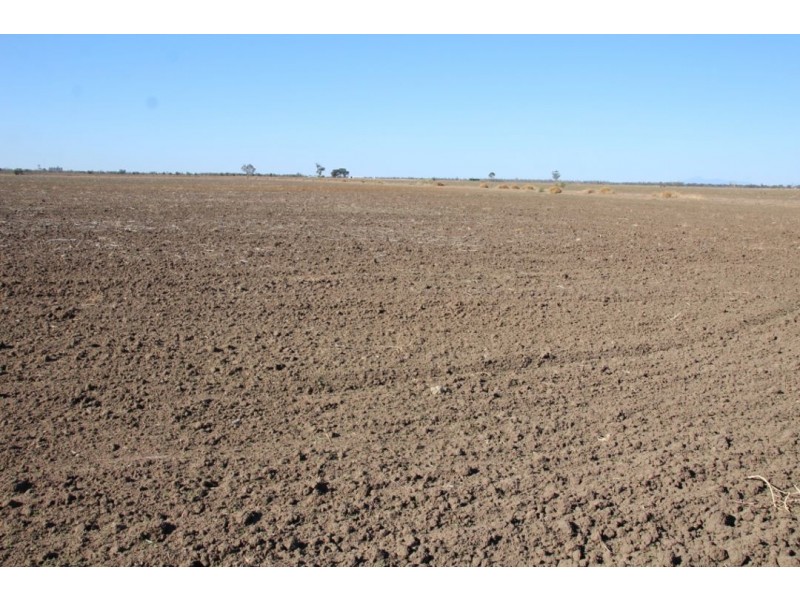 Benambra, Wee Waa NSW 2388