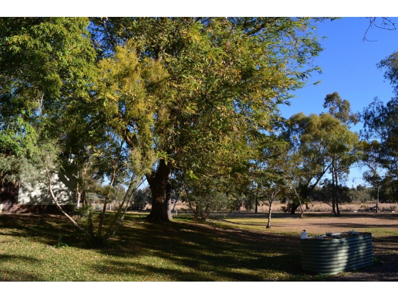 ‘Shalom’, Boobialla Road, Moree NSW 2400