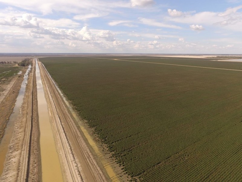 Taraba, Toobeah QLD 4498