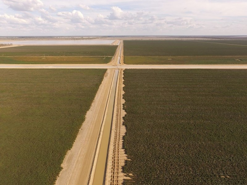 Taraba, Toobeah QLD 4498