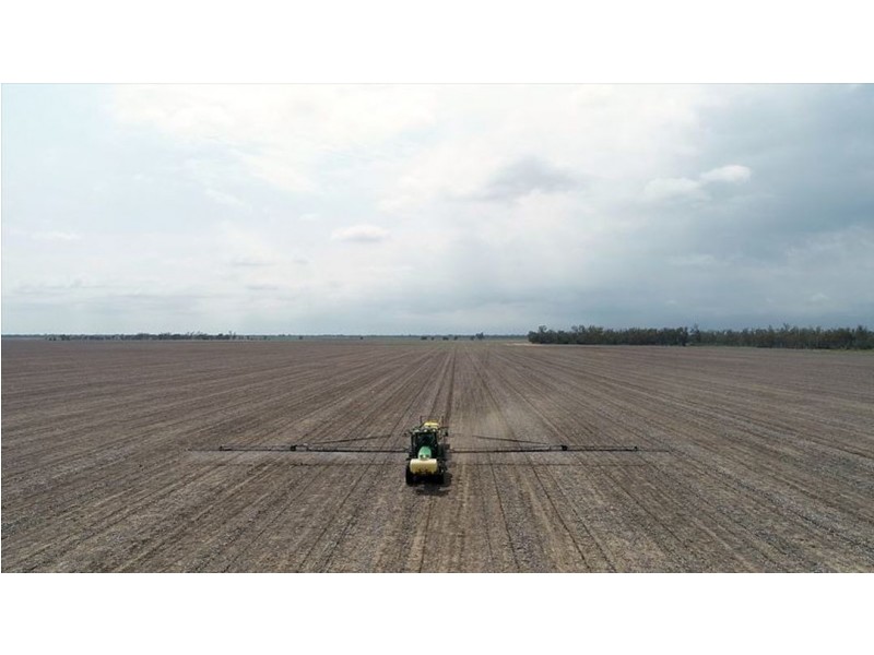 Taraba, Toobeah QLD 4498