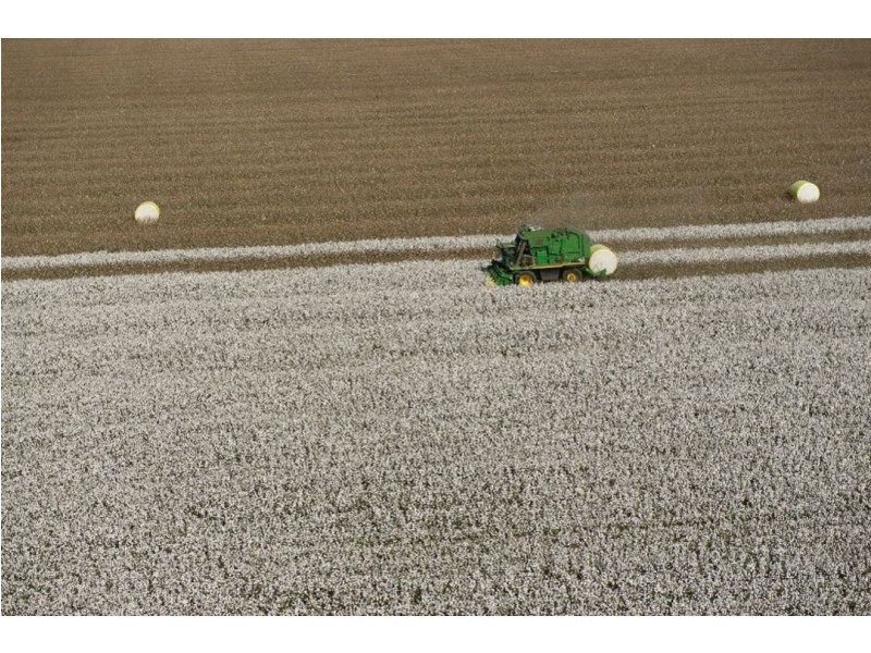 Taraba, Toobeah QLD 4498