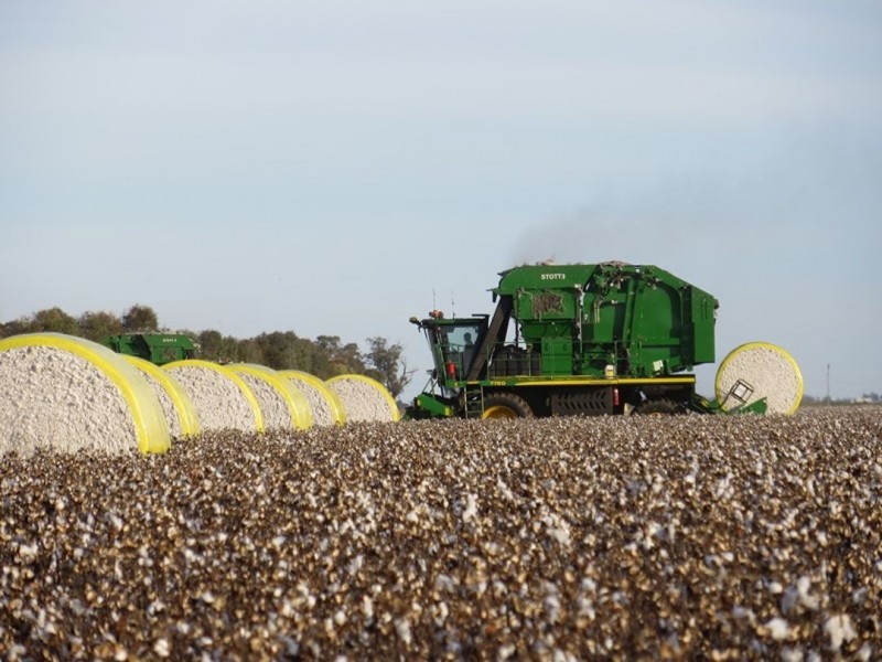 Taraba, Toobeah QLD 4498