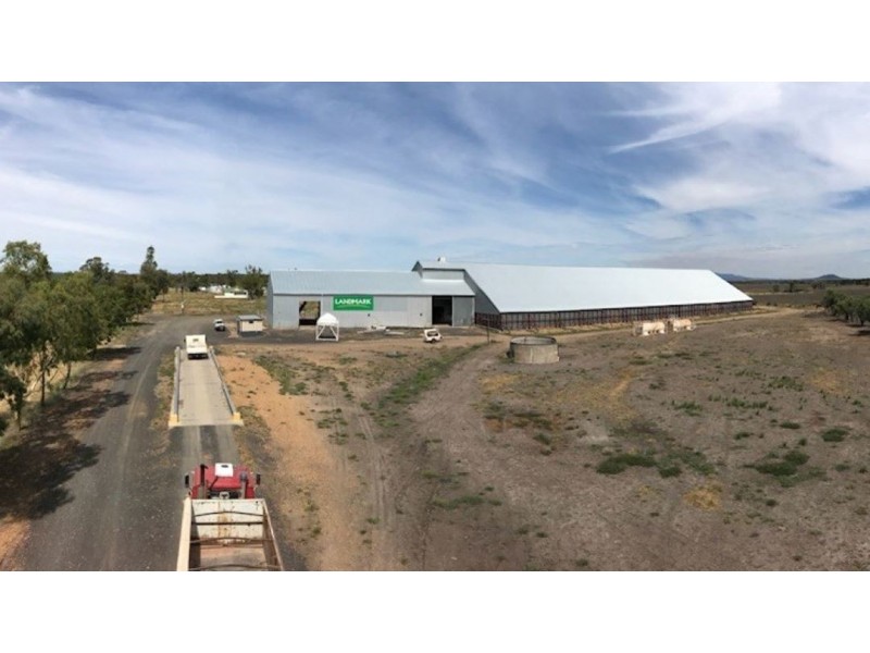 “Gurley Station”, Gurley NSW 2398