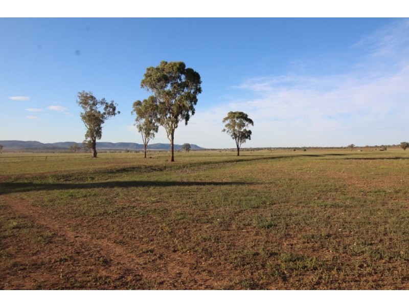 Ferndale, Bingara NSW 2404
