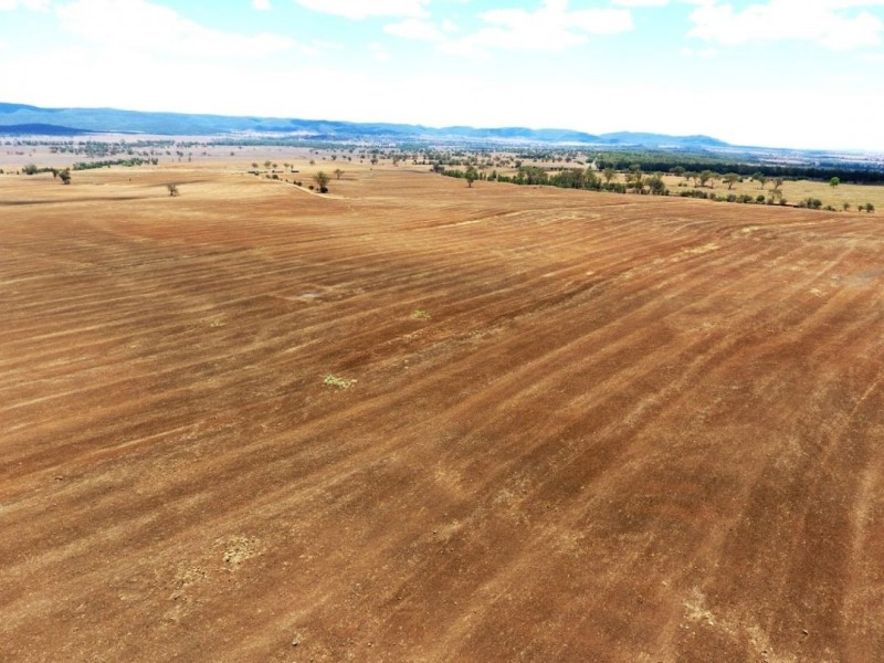 Ferndale, Bingara NSW 2404