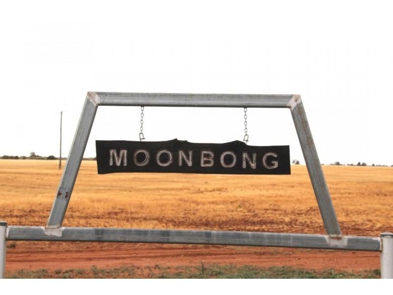 Moonbong Aggregation, Pallamallawa NSW 2399