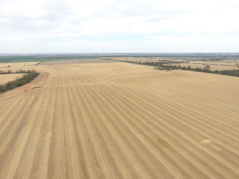 Moonbong Aggregation, Pallamallawa NSW 2399