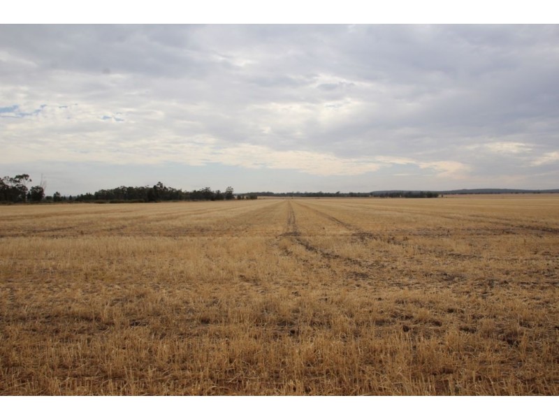 Moonbong Aggregation, Pallamallawa NSW 2399