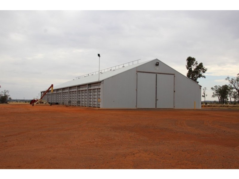 Moonbong Aggregation, Pallamallawa NSW 2399