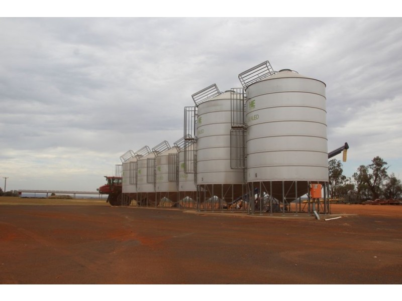 Moonbong Aggregation, Pallamallawa NSW 2399