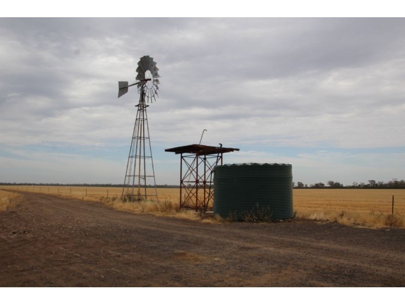 Moonbong Aggregation, Pallamallawa NSW 2399