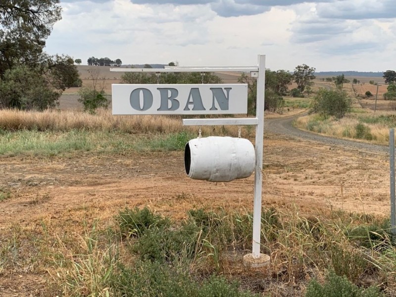 Oban, Coolatai NSW 2402