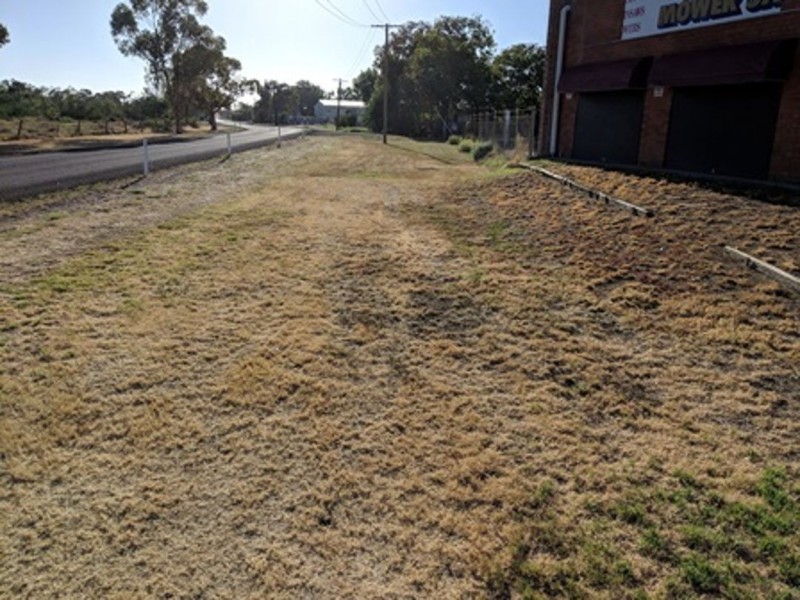 1-2 Hassell Street, Moree NSW 2400