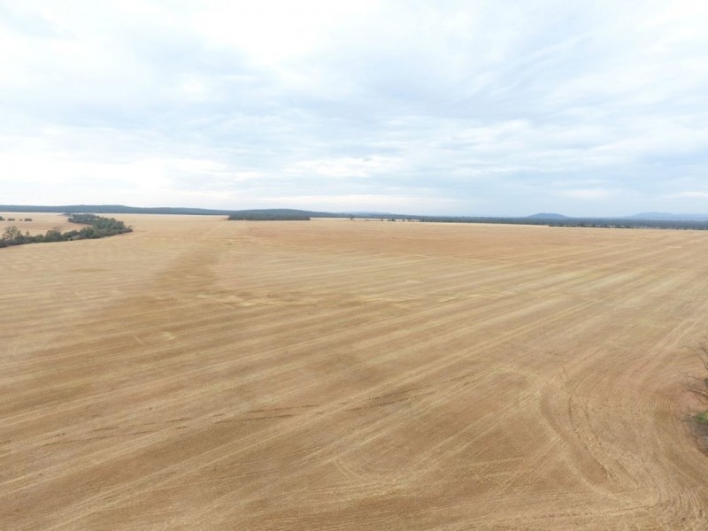 Moonbong Aggregation, Pallamallawa NSW 2399