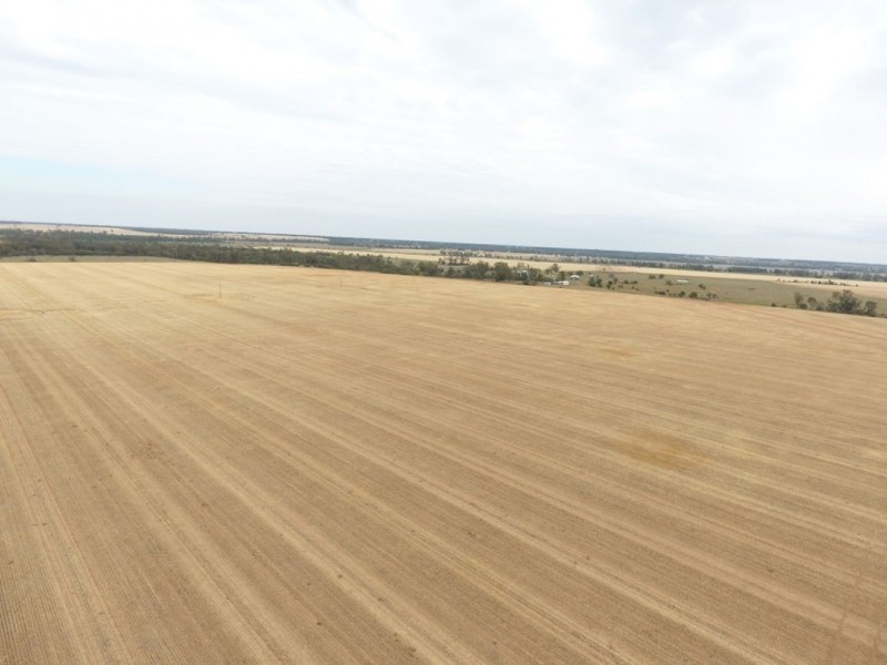 Moonbong Aggregation, Pallamallawa NSW 2399