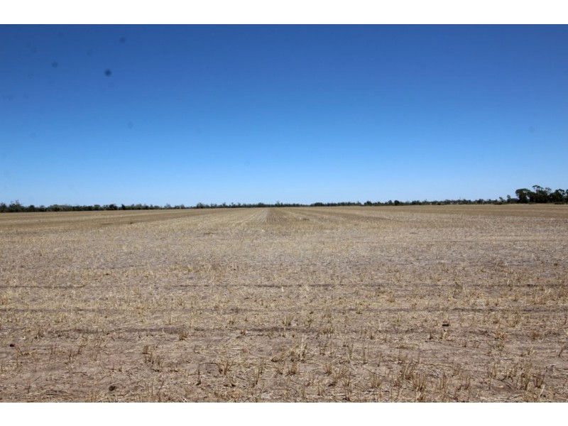 Moonbong Aggregation, Pallamallawa NSW 2399