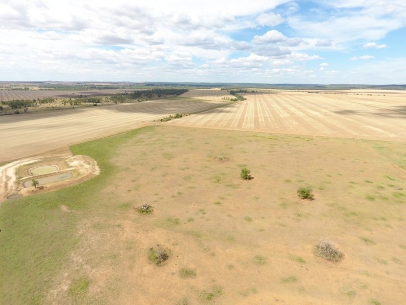 Moonbong Aggregation, Pallamallawa NSW 2399