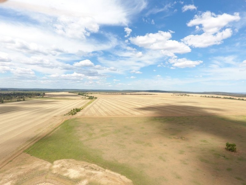 Moonbong Aggregation, Pallamallawa NSW 2399