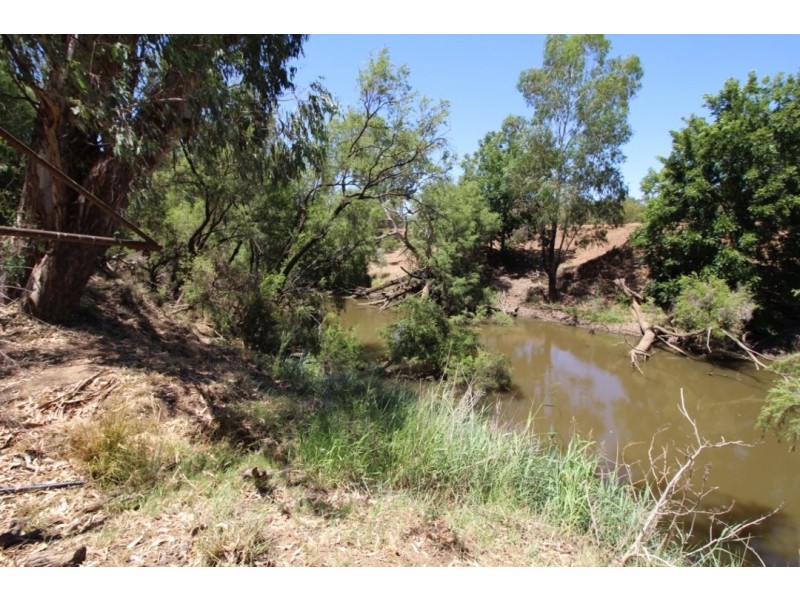 Moonbong Aggregation, Pallamallawa NSW 2399