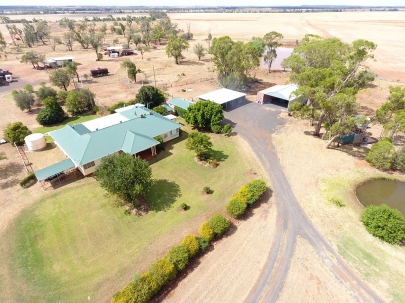 Moonbong Aggregation, Pallamallawa NSW 2399