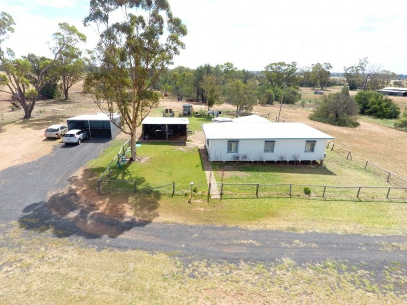 Moonbong Aggregation, Pallamallawa NSW 2399