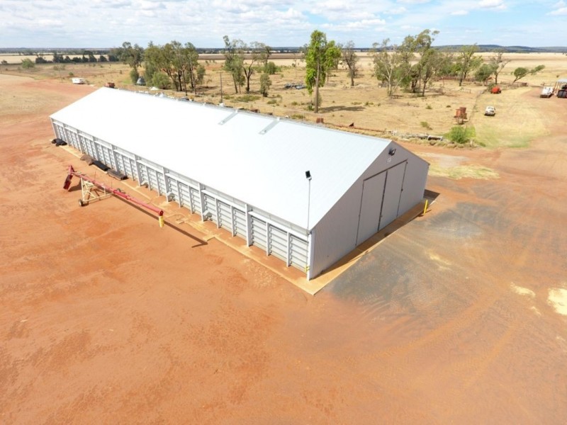 Moonbong Aggregation, Pallamallawa NSW 2399