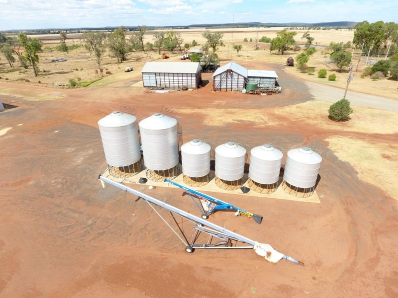 Moonbong Aggregation, Pallamallawa NSW 2399