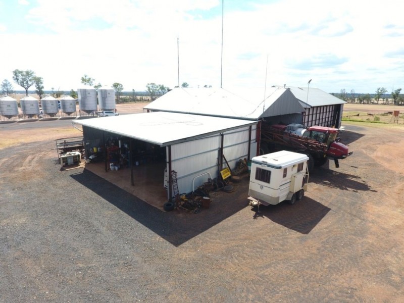 Moonbong Aggregation, Pallamallawa NSW 2399