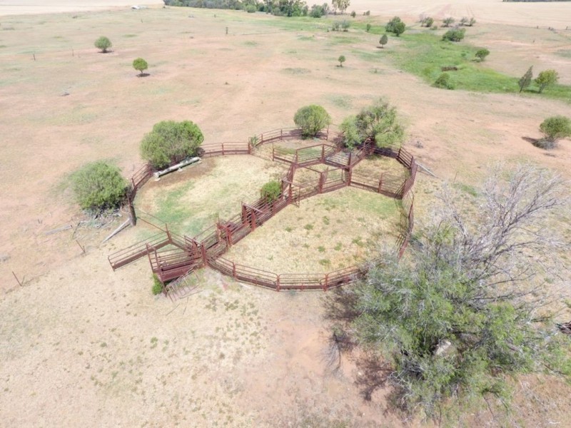 Moonbong Aggregation, Pallamallawa NSW 2399